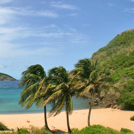 LES PLAGES AUX SAINTES TERRE DE HAUT ANNUAIRE SAINTOIS